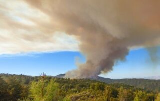 Waldbrandprävention: Klar! Rosalia-Kogelberg