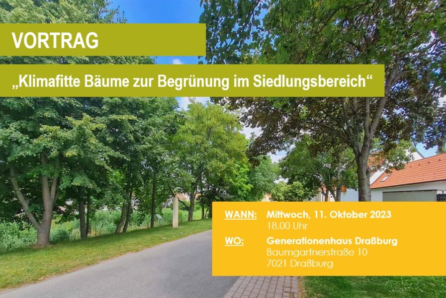 Bild_Vortrag Ankündigung Beitrag