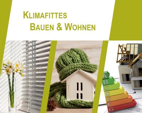 Foto_Website1