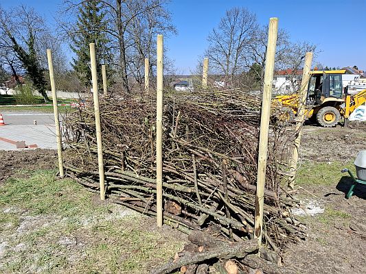 KlimagartenSigleß_skal (5)