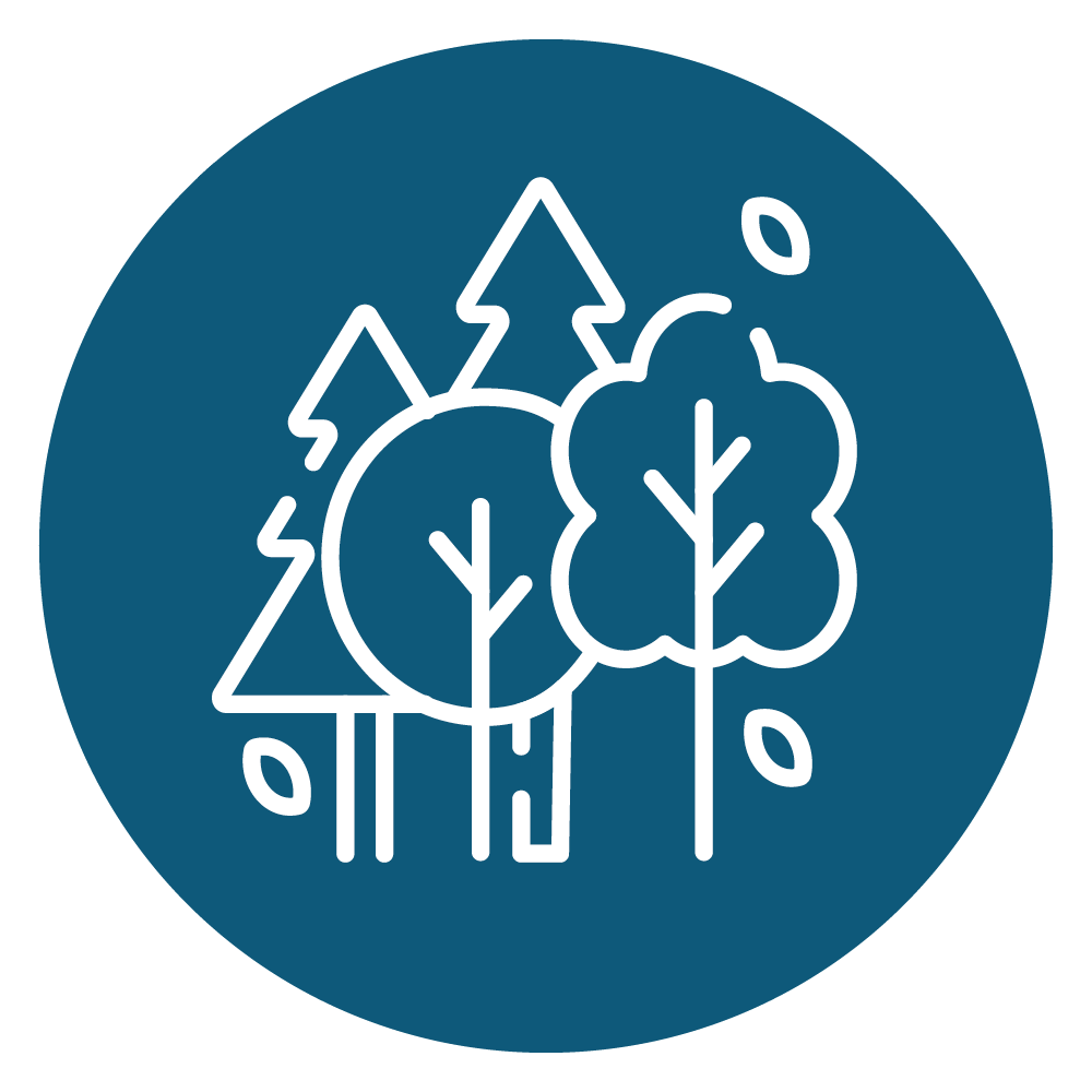 Icon_TinyForest