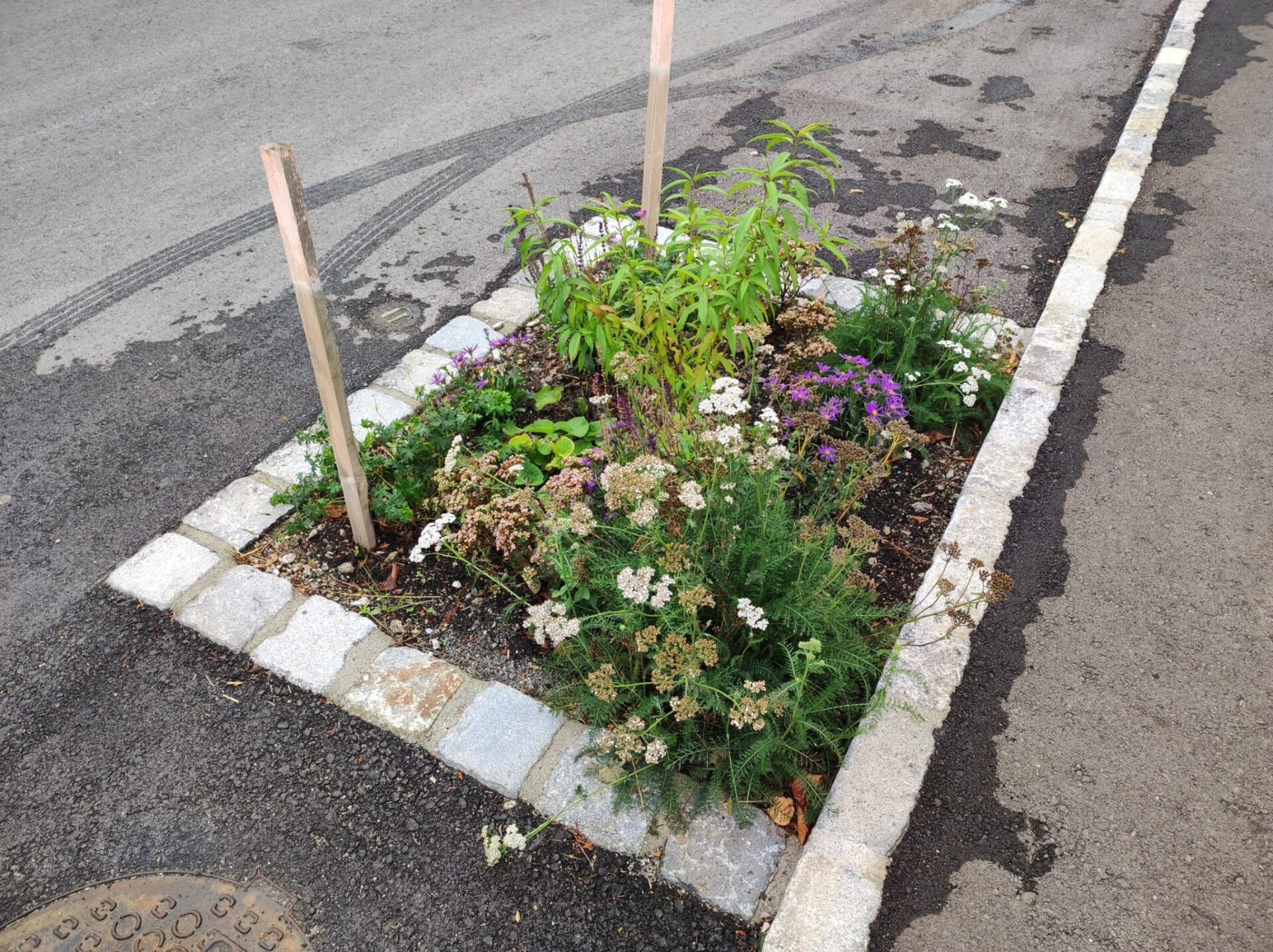 41729b17-3e3b-4b64-abf2-1fc7f4f9a98f